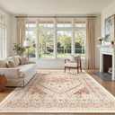 zesthome 6x9 Area Rug, Super Soft Washable Rugs for Living Room, Non-Slip Stain Resistant Vintage Rugs, Ultra-Thin Large Area Rugs (Red/Pink)