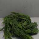 2 Pack 9 FT Christmas Garland Real Touch Norfolk Pine Garland Realistic, Christmas Faux Cedar Garland with Lights for Mantle Table Front Door Indoor Outdoor Holiday Christmas Decor