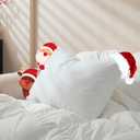 Goose Feather Down Pillows Queen Size Set of 1, Soft Pillows with 100% Organic Cotton Fabric, Luxury Hotel Quality Bed Pillow 1 Pack for Sleeping, Breathable & Fluffy (20" x 30")