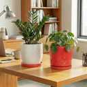 2 x Eightpot 2 Pack Plant Plates to Catch Water, Plant Trays for Pots Indoor Outdoors, 7.5 Inch Plants Water Catcher Tray, Round Flower Pot Saucers, Modern Decorative Dishes to Catch Water, Red