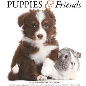 Gladstone Media, Puppies & Friends 2026 Square Wall Calendar