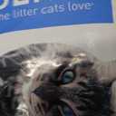 Dr. Elsey's Ultra UnScented Clumping Clay Cat Litter 40 lb. Bag