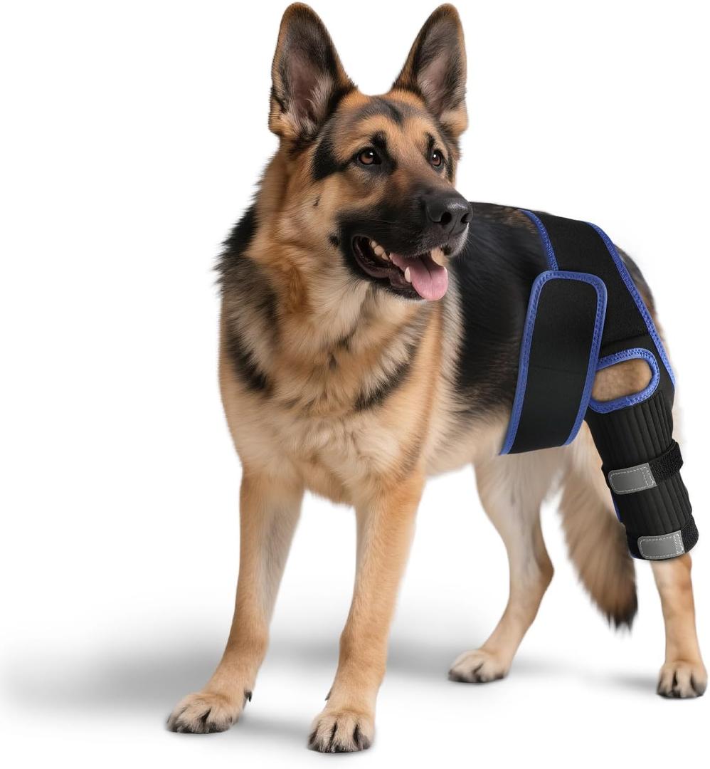 RUXAN Dog Knee Brace for Torn Acl, Dog Leg Braces for Back Leg, Knee Brace for Arthritis Pain and Support, Dogs Rear Leg Wrap Harness Set for Leg Wound Care and Lick Prevention-S