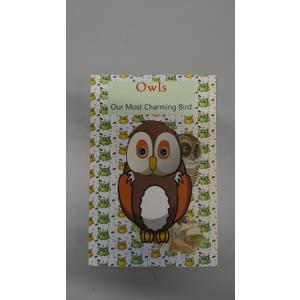 Owls Our Most Charming Bird