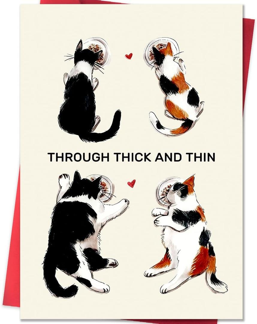 6 x Beixian Valentines Day Cards for Husband Wife, Funny Valentine's Day Card Gifts for My Lover, Through thick and thin (BX321)
