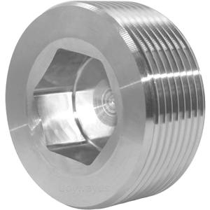 Joywayus Stainless Steel Internal Hex Countersunk Thread Socket Pipe Plug 1-1/2"NPT Male