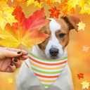 48 Pcs Thanksgiving Dog Bandanas Bulk Polka Dot Stripe Bandanas for Dogs Triangle Kerchief Bibs Scarf Set for Pet Fall Autumn Costume Photo Props Accessories Pet Shops Groomers, 4 Styles