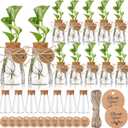 Baderke 24 Pack 3.35'' Plastic Plant Propagation Stations with Hole Lid Planter Vase Clear Propagation Jars with Thank You Tags for Plant Lover Gifts for Women Office Home Garden (Cute)