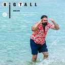 BRISIRA Big and Tall Hawaiian Shirts for Men Button Down Short Sleeves Beach Tropical Shirt (Red, XXL)