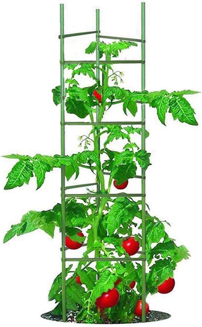 Tomato Cage 5ft 6-Pack Large Tall Tomato Cages Tomato Stakes Plants Supports Garden Stakes,40 Clips and Plant Ties Include, Green