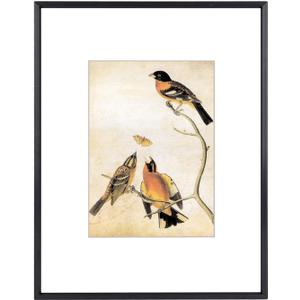 BKABOT 11x14 Picture Frame, Black Metal Photo Frames with HD Glass, Fits 8x10 with Mat or 11 x 14 without Mat, Display for Wall and Table, 1 Pack