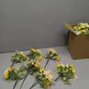 LESING Silk Dahlia Artificial Flower with Vase, Fake Faux Rose Flowers Bouquets in Vase for Home Office Table Decoration (Dahlia-Yellow)