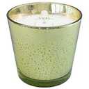 HC 24OZ CANDLE GARDEN RAIN GREEN