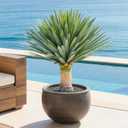 23.6inch Artificial Agave Plant with 160 Leaves Faux Outdoor Plants Large Fake Agave Plant with Matte Black Pot, Realistic Artificial Plants for Indoor Home Patio Porch Garden Decoration