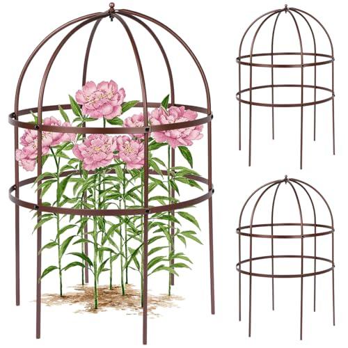 HEYTIMI 2 Pcs Jardin Bird Cage Plant Support 24" H Large Sturdy Grow-Through Flower Support Peony Cage Climbing Plant Support Trellis Sculptural Garden Decor for Perennial Flowers (Vintage Gold)