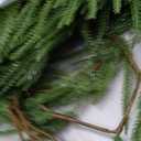 4 Pcs 9 Ft Artificial Norfolk Pine Garlands, Real Touch Norfolk Pine Garland, Realistic Natural Christmas Greenery for Table, Mantle, Wall, Indoor, Outdoor Christmas Holiday Decorations (4, 9 FT)