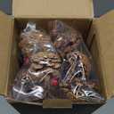 2 Pack Fall Tree with Lights, USB/Battery Powered Fall Eucalyptus Maple Tree, 2FT Lighted Autumn Tree Fall Decorations for Home, Thanksgiving Decorations for Tabletop Indoor Mantel Centerpieces, Timer