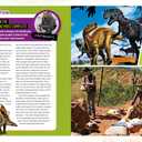 Absolute Expert: Dinosaurs: All the Latest Facts from the Field