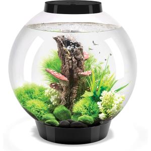 biOrb Classic 30 Acrylic 8-Gallon Aquarium with White LED Lights Modern Tank for Tabletop Display, Black