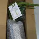 Der Rose 28'' Fake Plants Tall Artificial Monstera Faux Plants Indoor Outdoor Tree for Living Room Home House Decor