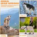 Dog Shoes for Large Small Medium Dogs, Anti-Slip Dog Booties & Paw Protectors for Outdoor, Waterproof Dog Boots for Hiking Hardwood Floor Winter Snow with Reflective Straps, Size 8