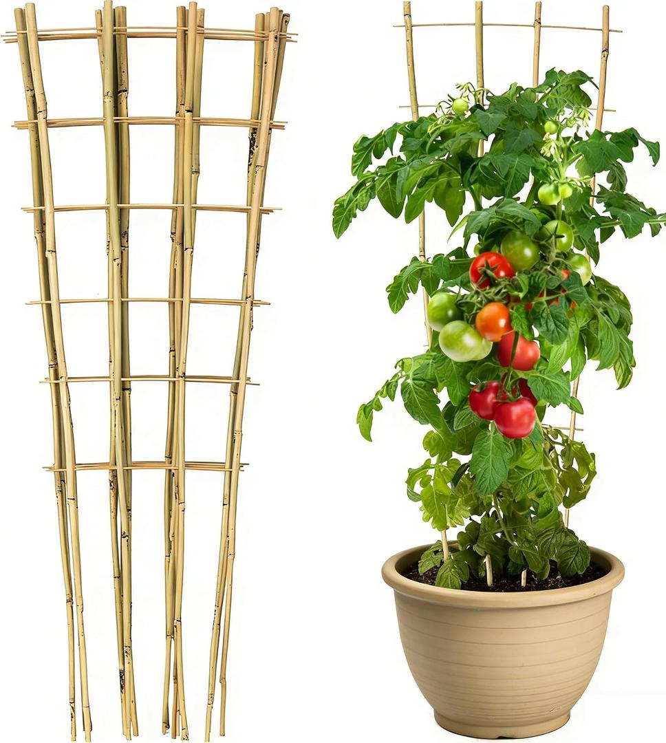 3 Pack Natural Bamboo Trellis 4.8 Ft, Fan-Shape Garden Ladder Plant Trellis for Climbing Plants, Vegetables, Cucumber, Tomato, Potted Plants