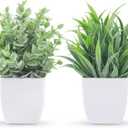 Der Rose 2 Pack Small Fake Plants Mini Artificial Potted Plants for Table Desk Home Bathroom Office Decor