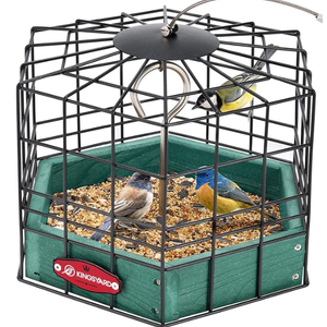 Kingsyard Squirrel Proof Platform Bird Feeders for Outdoor Hanging, 10" Wide Metal Caged Bird Feeder for Small Wildbirds Finches, Recycled Plastic Feeding Platform with Metal Seed Tray, Green