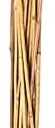 BAMBOO STAKE 36" 24PK