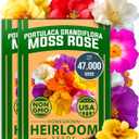 HOME GROWN 47000+ Moss Rose Seeds (Bulk Pack) Annual Flower for Ground Cover - Heirloom Non-GMO Portulaca Seeds for Planting Outdoors - Great for Low-Maintenance Gardens (Portulaca grandiflora)