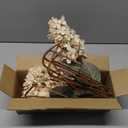 Hydrangea Artificial Flowers,Fall Hydrangeas Artificial Flowers, Fake Fall Dried Hydrangea Decoration,Faux Silk Flower with Stems Winter Decor Without VaseCream White 8PCS