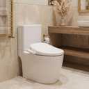 Bidet Toilet Seat Elongated with Heated Toilet Seat for Bathroom 236