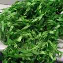HOGADO 100pcs 600 ft Artificial Ivy Garland Fake Hanging Vines for Room Decor Artificial Greenery Ivy Vine Plants for Jungle Party Bedroom Home Garden Outdoor Wedding Wall Decor