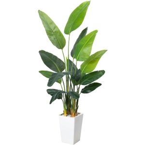 Bird of Paradise Plant Artificial 7ft,Faux Plants Indoor with White Planter,Fake Tree with Lifelike Leaves,The Perfect Indoor Silk Floor Plant for HomeHallway and Office Decor
