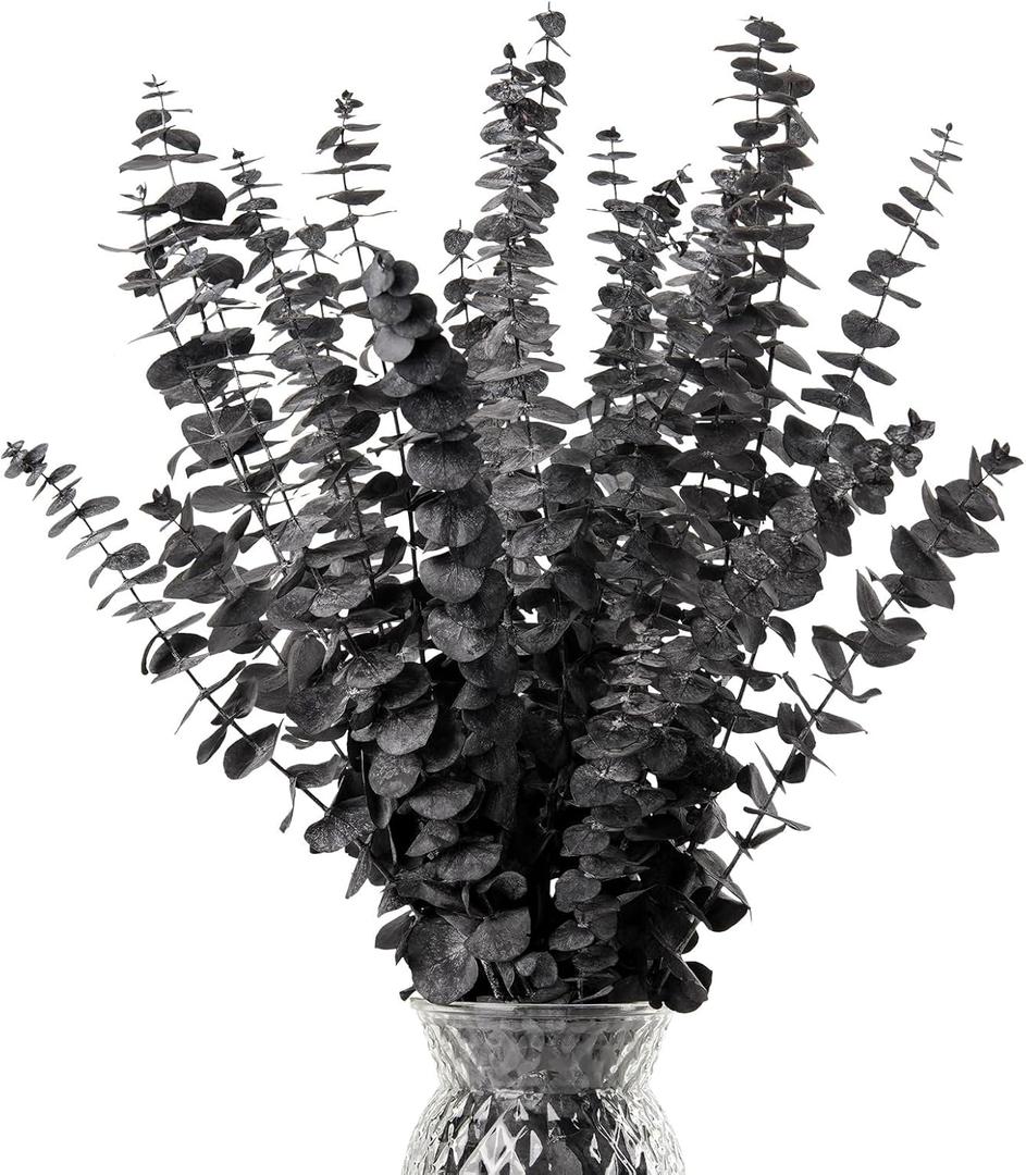 Black Eucalyptus Stems Decor,20PCS 17" Real Dried Preserved Eucalyptus Stems Plant for Home Vase Wedding Festival Floral Fall Halloween Arrangement Decorations