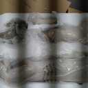 Willow Tree Nativity Starter Figures with The Three Wisemen Plus Metal Stars, 14-Piece Set