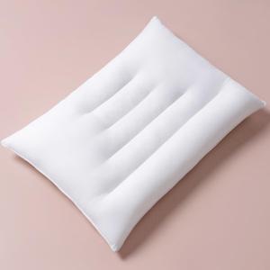 Pozino Flat Thin Pillows for Sleeping - Standard Size 1 Pack Slim Bed Pillows for Side Back Stomach Sleepers,2.5 inch Height Ultra Low Pillows,Down Alternative Filling (White)