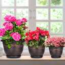 Plastic-Plant-Flower-Planters-12 Inch with Drainage Hole & Saucer, 3 Packs Lightweight Small Resin Flower Pot Indoor Outdoor, Retro Antique Imitation Decorative Garden Containers Sets for Houseplants