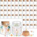 Patelai 24 Pcs Small Glass Jars with Cork Lids, Mini Potion Bottles Bulk Tiny Wishing Vial Spell Jars for DIY Art Crafts Gift Valentine Wedding Birthday Party Favors Decorations (50 ml) (50 ml/1.7 oz)