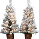 ARAKIEL S/2-3.5FT PRE-LIT Flocked Pot Tree