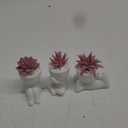Der Rose 3 Pcs Fake Succulents Plants Artificial Pink Room Office Desk Decor for Women