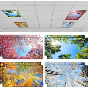 Patelai 8 Pack Light Covers for Classroom Ceiling 4 x 2 Feet Magnetic Light Covers Filter for Office School Drop Ceiling Supplies(Seasons Forest)