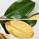 5 Feet Artificial Christmas Garland Fake Gold and Green Magnolia Leave Garland Hanging Xmas Dcor for Thanksgiving Christmas Table Mantel Door Decoration