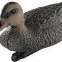 Realistic Mallard Duck Models That Hunting Enthusiasts Love as decoys and Ornaments