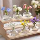 Hushee 12 Pcs Bud Vases Bulk Glass Small Vases for Flowers Clear Floral Centerpieces for Home Decor Wedding, Baby Shower, Floral Arrangements Event Party Decor(Short)