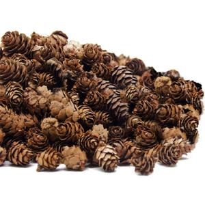 Deloky 250 PCS Christmas Natural Mini Pine Cones-Thanksgiving Pinecones Ornaments for DIY Crafts, Home Decorations,Fall and Christmas,Wedding Decor