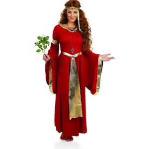 fun shack Renaissance Dress Women, Medieval Costume for Renaissance Faire, Elegant Historical Dress for Events, S