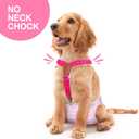 Pet Soft Dog Suspenders 2 Pieces Female Dog Diaper Suspenders for Dogs Diaper Keeper Suspender for Dogs Skirt, Doggy Dress (Black & Pink, S/M)