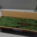 24 Pcs 18 Inch Real Touch Norfolk Pine Branches Christmas Greenery Stems with Pinecones & Red Berries for Christmas Decorations