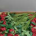 Riceshoot 500 Pcs Artificial Silk Roses Flowers with Long Stem Bridal Wedding Bouquet Realistic Floral Bulks for Garden Home Party Gifts Favor Decoration(Wine Red)